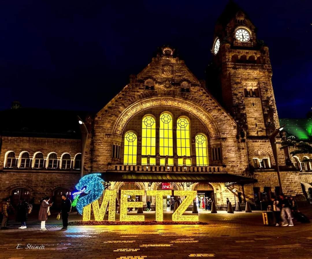 F2 65M2 Parking Prive Avec Une Belle Vue Metz Eksteriør billede